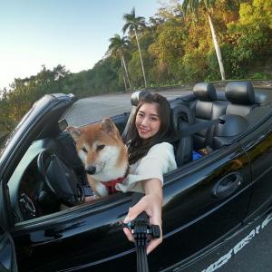 辜莞允. Nono Ku的VKontakte主页、账号(@nolovehowll)