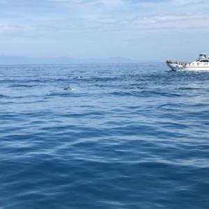 夏德萱的VKontakte主页(@dk_1218)