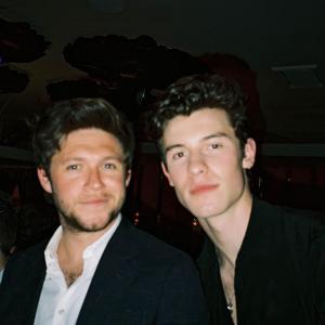 尼尔·霍伦的VKontakte主页(@niallhoran)