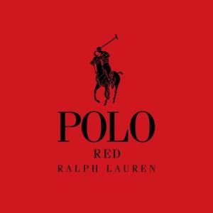 安塞尔·埃尔格特Ansel Elgort的VKontakte主页(@ansel)