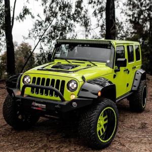 琥珀玫瑰的VKontakte主页(@amberrose)