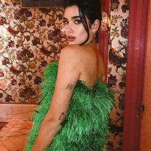 Dua Lipa的VKontakte主页(@dualipa)