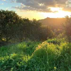 特莉安·贝利索里奥Troian Bellisario的VKontakte主页(@sleepinthegardn)