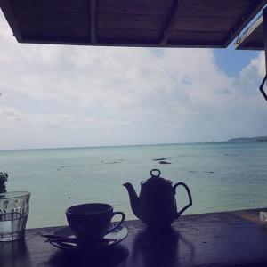 林明禎的VKontakte主页(@minchen333)