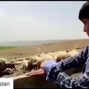 長友佑都的VKontakte主页(@yutonagatomo55)