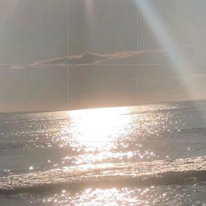 珮顿·利斯特的VKontakte主页(@peytonlist)