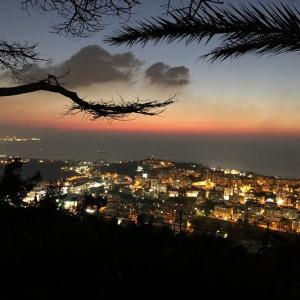 南希阿杰拉姆Nancy Ajram的VKontakte主页(@nancyajram)