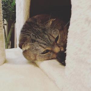 薛凯琪的VKontakte主页(@physit)