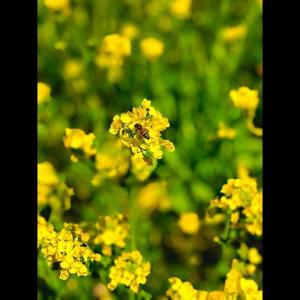 日本女星Becky的VKontakte主页(@becky_dayo)