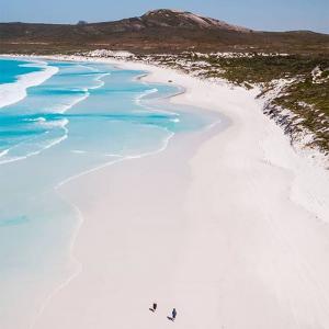 凯拉伊辛斯KAYLA ITSINES的VKontakte主页(@kayla_itsines)