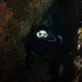 朴炯植的VKontakte主页(@phs1116)