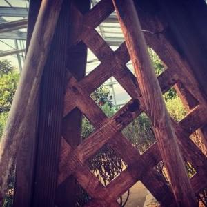 朴信惠的VKontakte主页(@ssinz7)