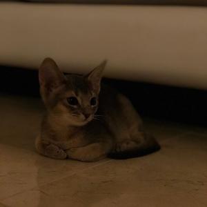 韩国艺人徐康俊서강준的VKontakte主页(@seokj1012)