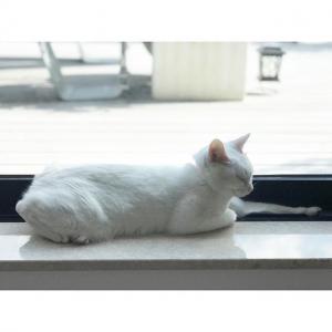 柴崎幸的VKontakte主页(@ko_shibasaki)