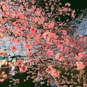 日本女神megbaby???的VKontakte主页(@_megbaby_)