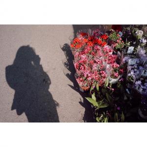 安喜延的VKontakte主页(@ahnhani_92)