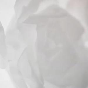 洪真英的VKontakte主页(@sambahong)