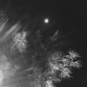 韩国艺人金宇彬김우빈的VKontakte(@kimwoob1607)