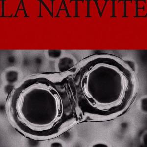 米凯拉·舍费尔VKontakte