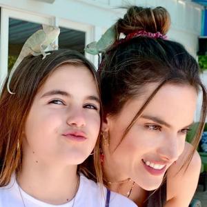 亚历山大安布罗休VKontakte