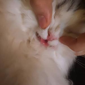 韩国艺人尹均相的VKontakte(@yunkyunsang)