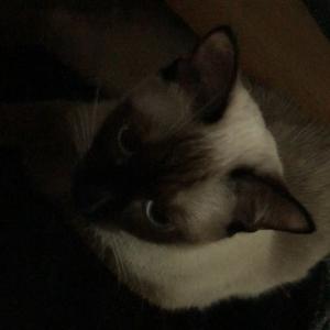 韩国艺人权玄彬的VKontakte(@komurola)