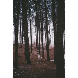 韩国艺人洪宗玄的VKontakte(@hjonghyun)