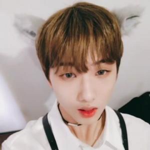 韩国男子演唱组合NCT的VKontakte(@nct_dream)