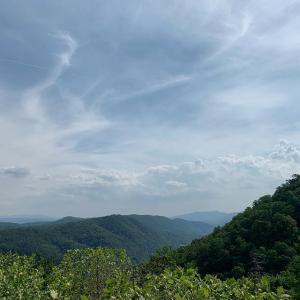 艾米·罗森VKontakte