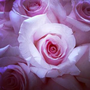 梅兰娜·特朗普VKontakte