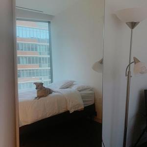 Ariana Grande VKontakte