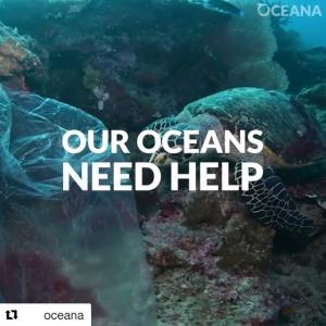 埃尔莎·帕塔奇VKontakte