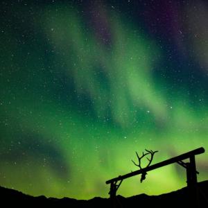 National Geographic   VKontakte