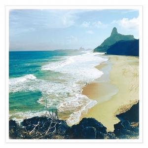 坎蒂丝·斯瓦内普尔VKontakte