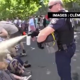 玛丽昂·歌迪亚VKontakte