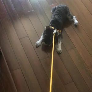 Yiting Tao  VKontakte