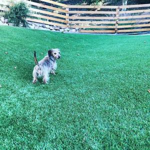 莉顿·梅斯特VKontakte