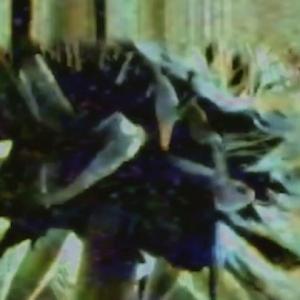 Hala Hunny  VKontakte