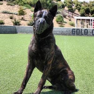 Ray Allen Manufacturing  VKontakte