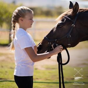 Dubai Polo & Equestrian Club  VKontakte