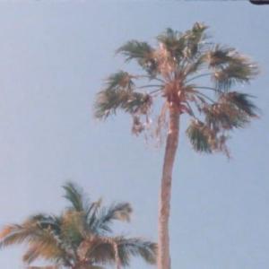 s a b r i n a s a n t i a g o  VKontakte